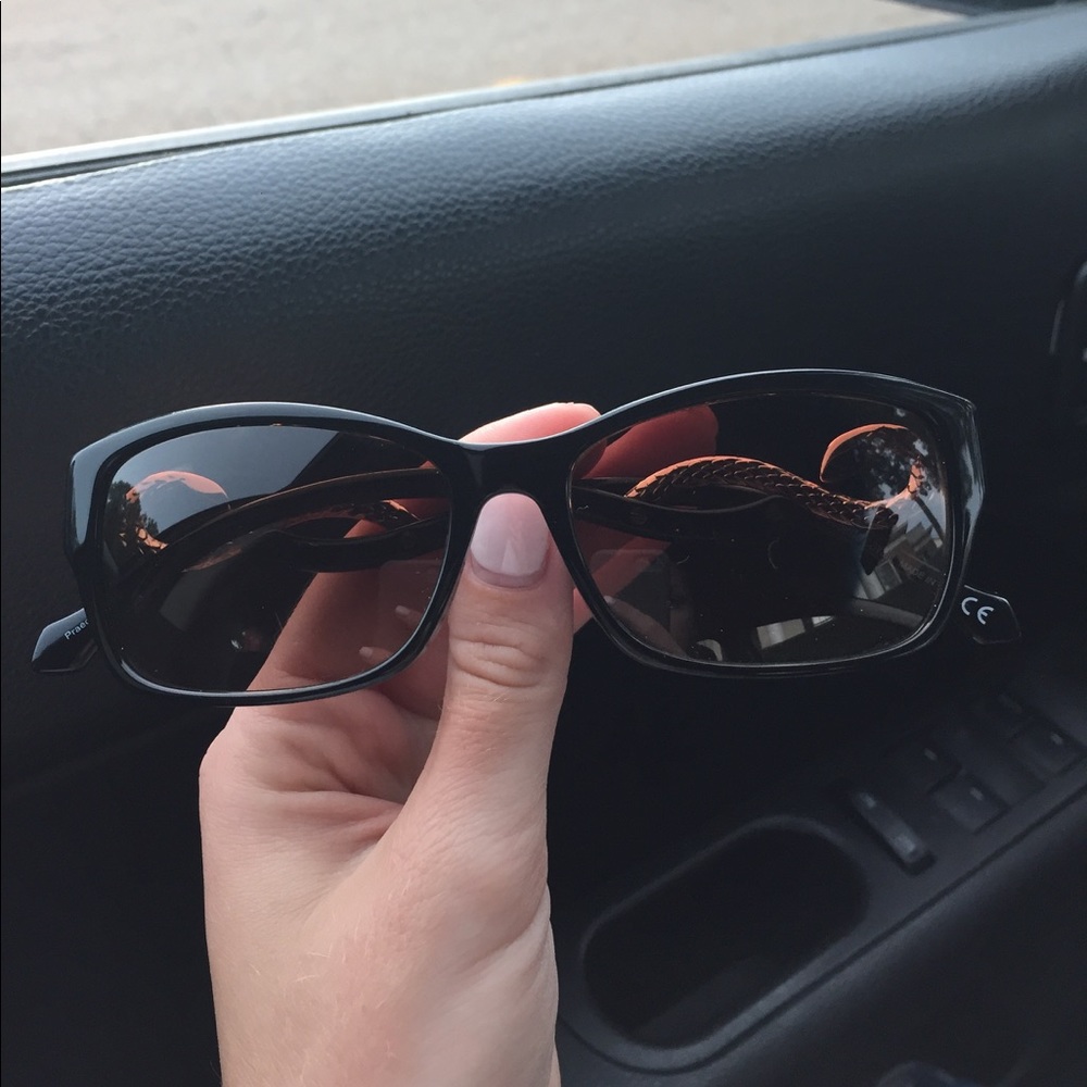 Roberto Cavalli Sunglasses NWOT