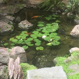 Meet your Posher, Maggie