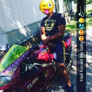 Meet your Posher, Sylvester