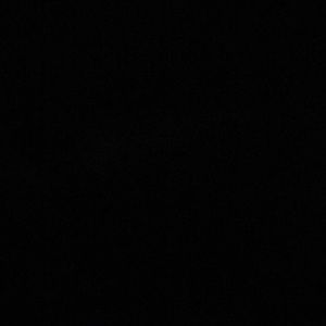 Meet your Posher, Phoebe