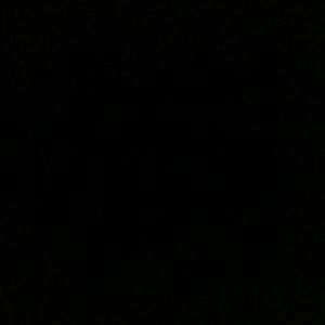 Meet your Posher, Monique