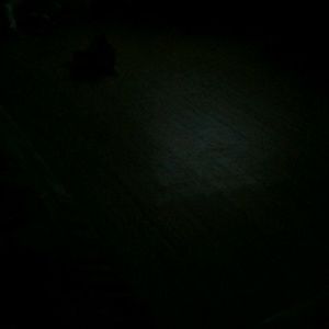 Meet your Posher, Dustin