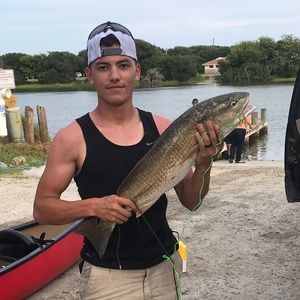 Meet your Posher, Aaron