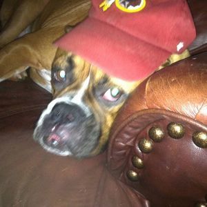 Meet your Posher, Jake