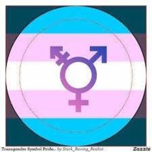 Meet your Posher, Tamara