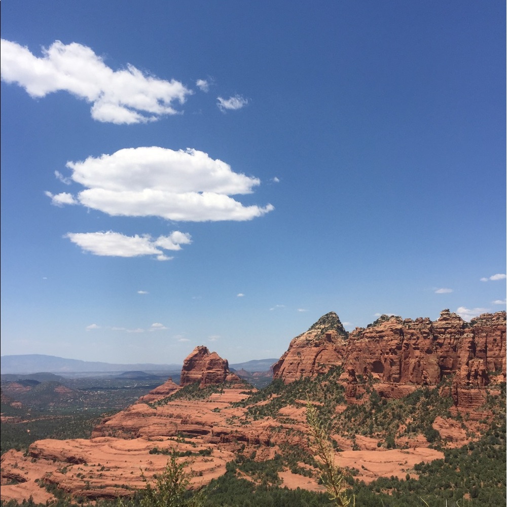 Meet your Posher, Natalie