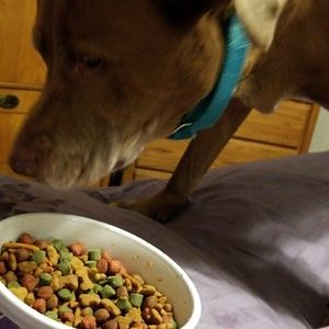 Meet your Posher, Michele