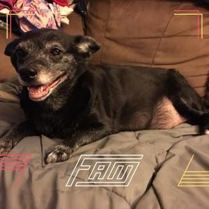 Meet your Posher, Robyn