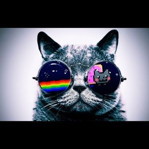 Meet your Posher, Wesley