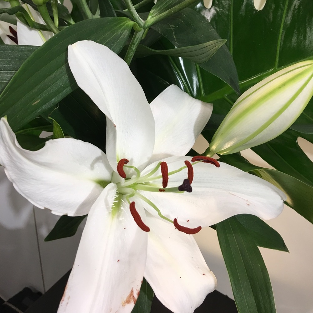 Meet your Posher, Katia