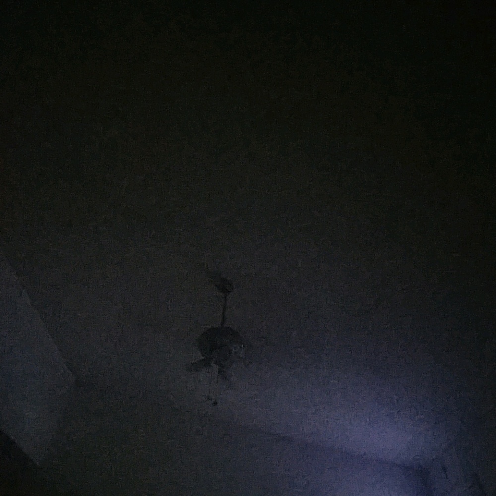 Meet your Posher, Roy