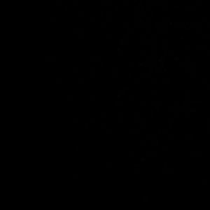 Meet your Posher, Jocelyn