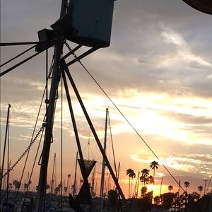 Meet your Posher, Dylan