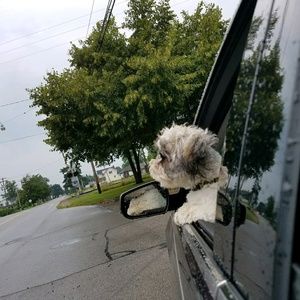 Meet your Posher, Dorthey