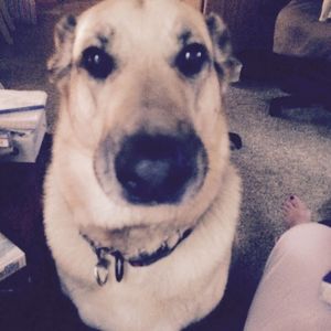 Meet your Posher, Germaine