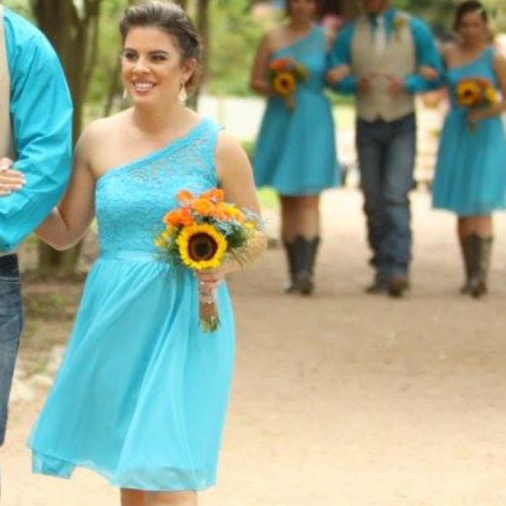 David’s bridal Bridesmaid dress