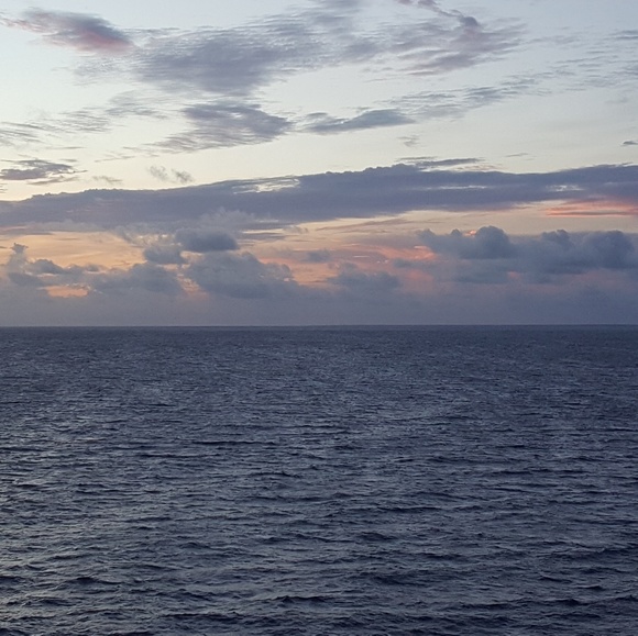 Meet your Posher, Elizabeth - Picture 3 of 5