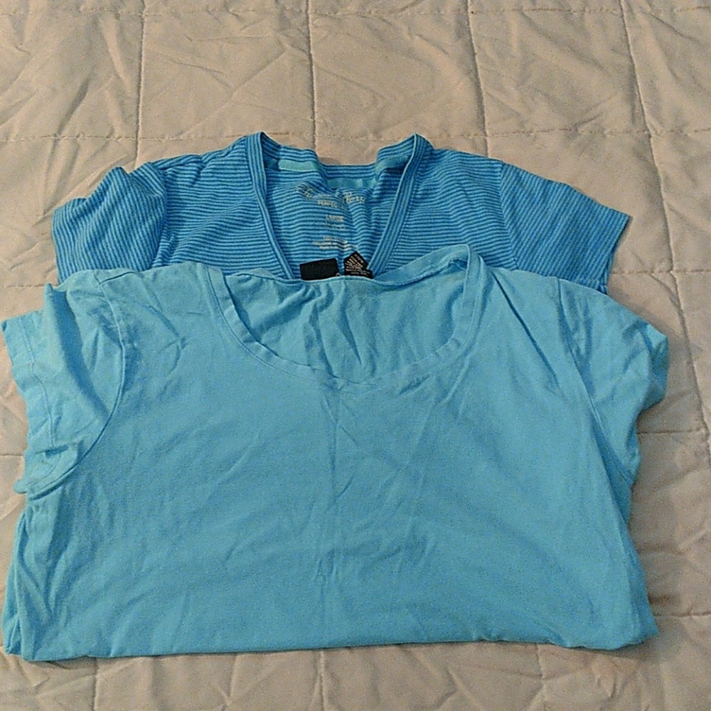Bundle 2 blue tops