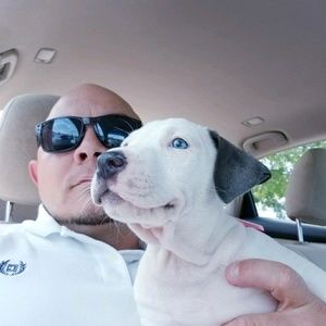 Meet your Posher, Bryan