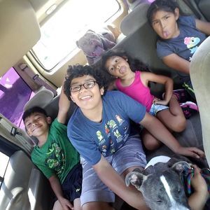 Meet your Posher, Manuel