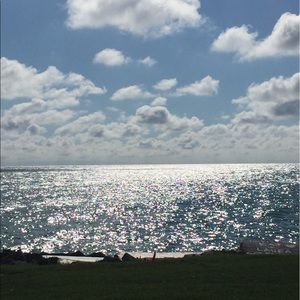 Meet your Posher, Ila