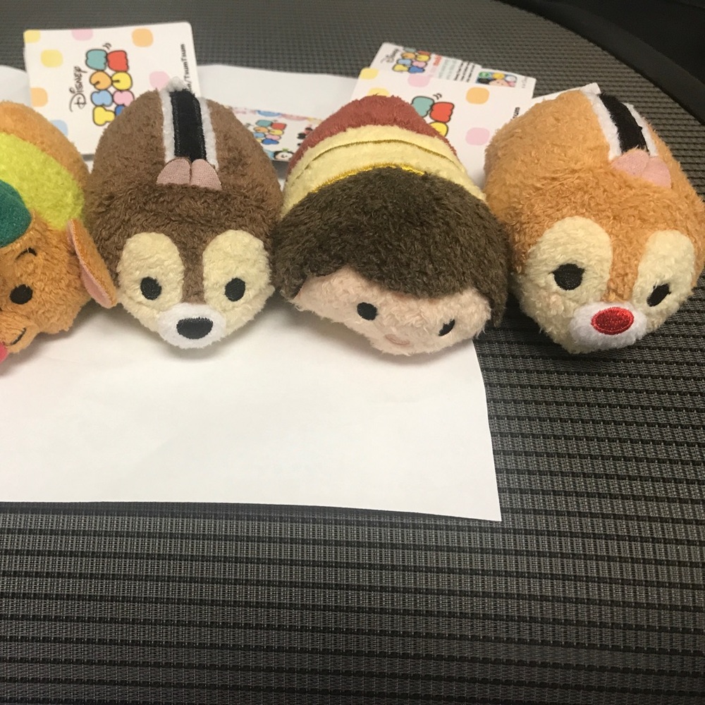 Cinderella Tsum tsums!