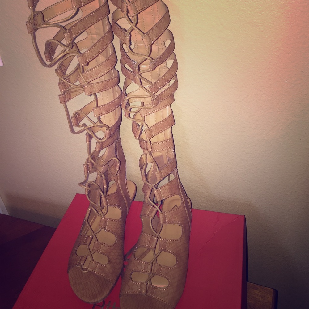 Gladiator sandals
