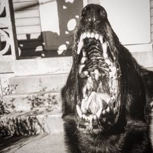 Meet your Posher, Kenny