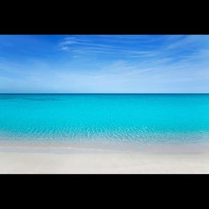 Meet your Posher, Leigh