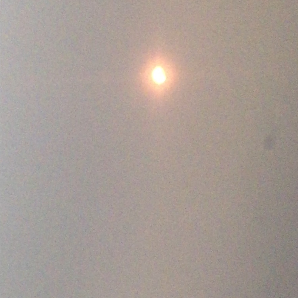 Eclipse - Picture 3 of 3