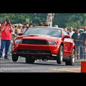 Meet your Posher, Brandon