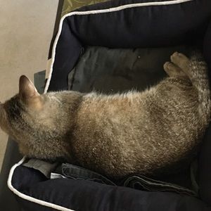 Meet your Posher, Jacob