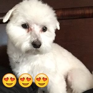 Meet your Posher, Beatrice