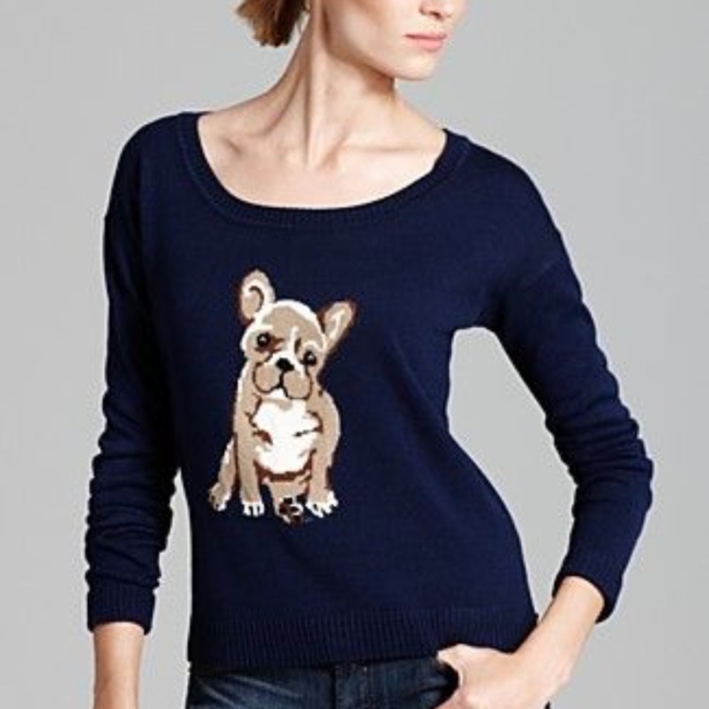 Aqua frenchie knit sweater