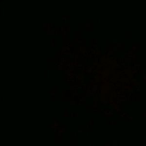 Meet your Posher, Elijah