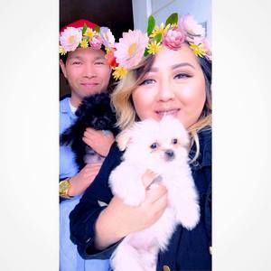 Meet your Posher, David