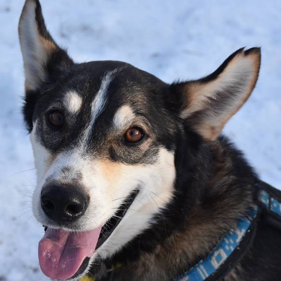 Meet your Posher, Monica - Picture 1 of 1