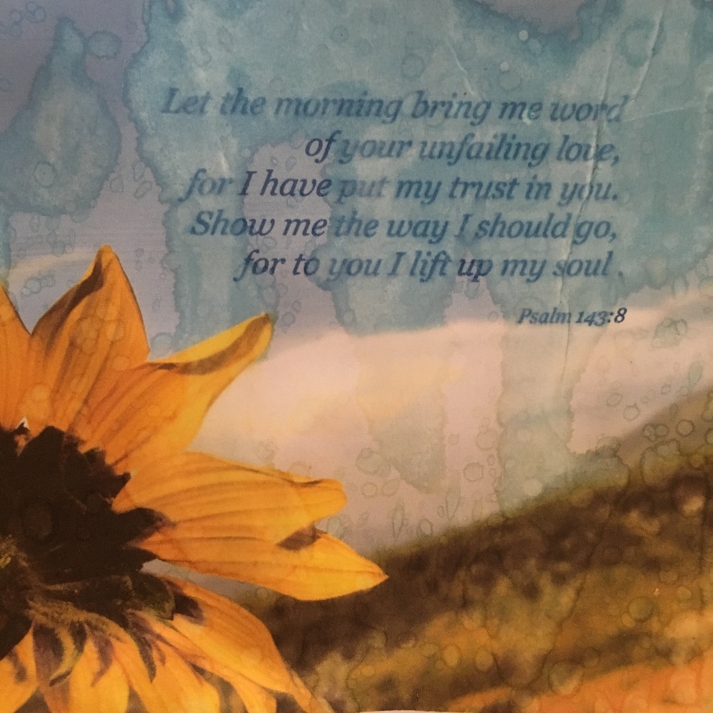 Encouragement - Picture 2 of 3