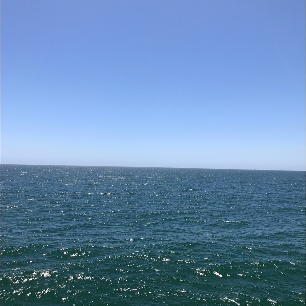 Meet your Posher, Adelle