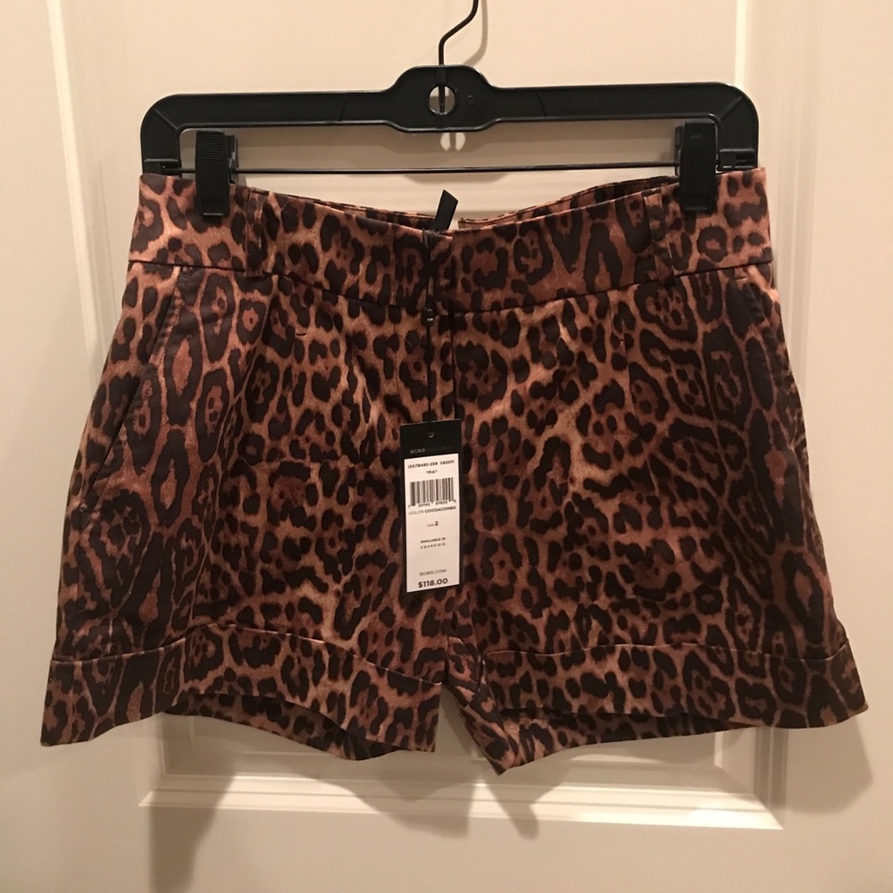 BCBG leopard print shorts