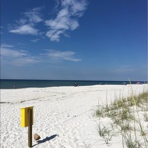 Meet your Posher, Kurtis