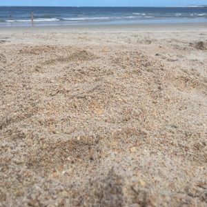 Meet your Posher, Carley