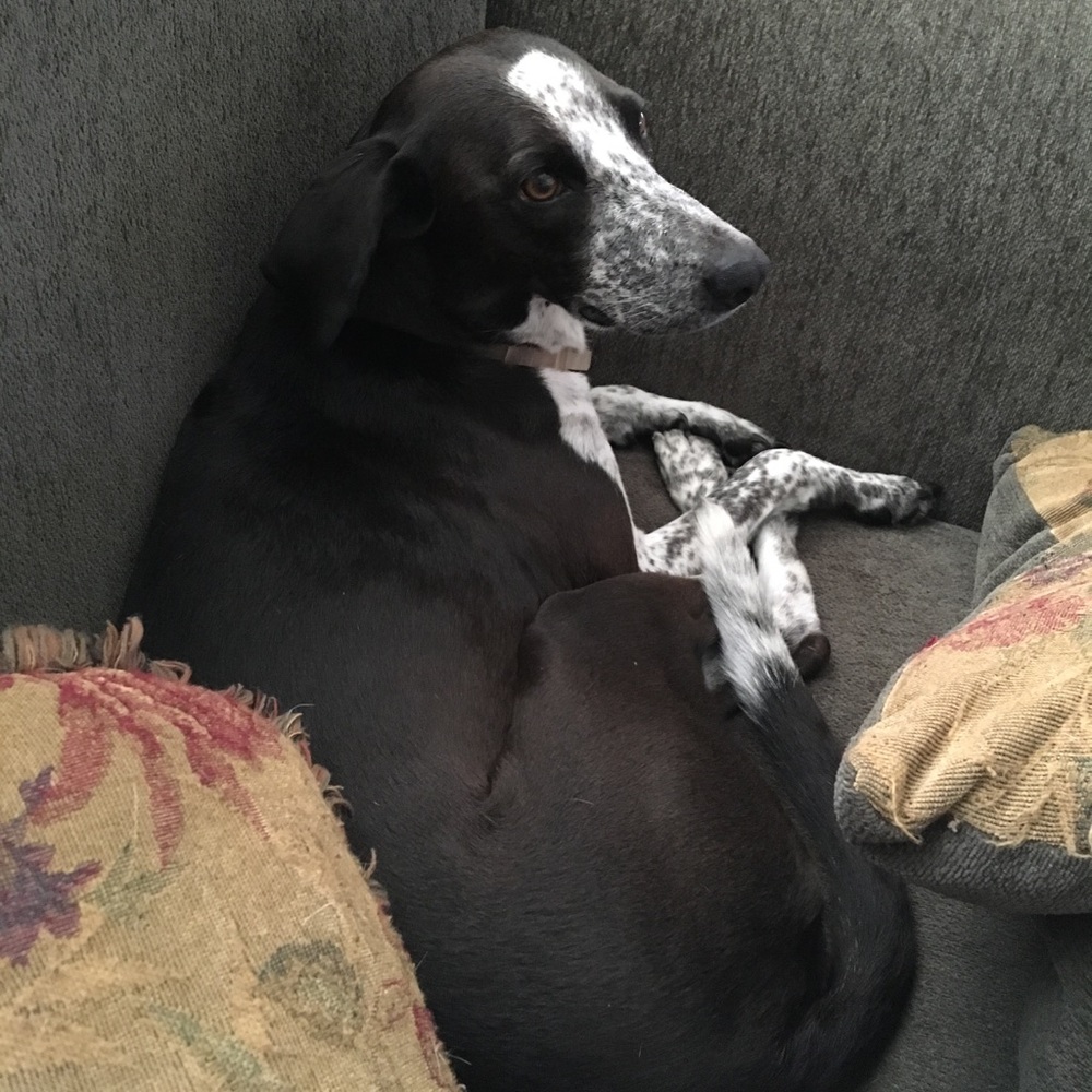 SEVERAL PRICES ARE NEGOTIABLE!!