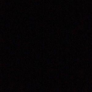 Meet your Posher, Shauna