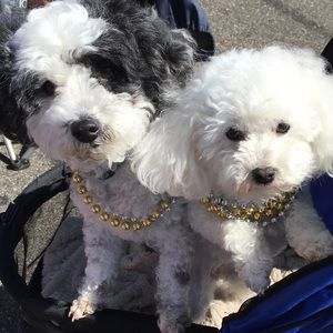 Meet your Posher, Jenni