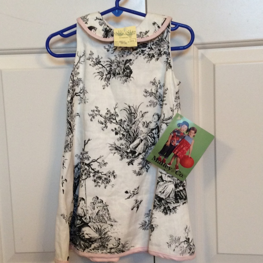NWT 2t Toile dress