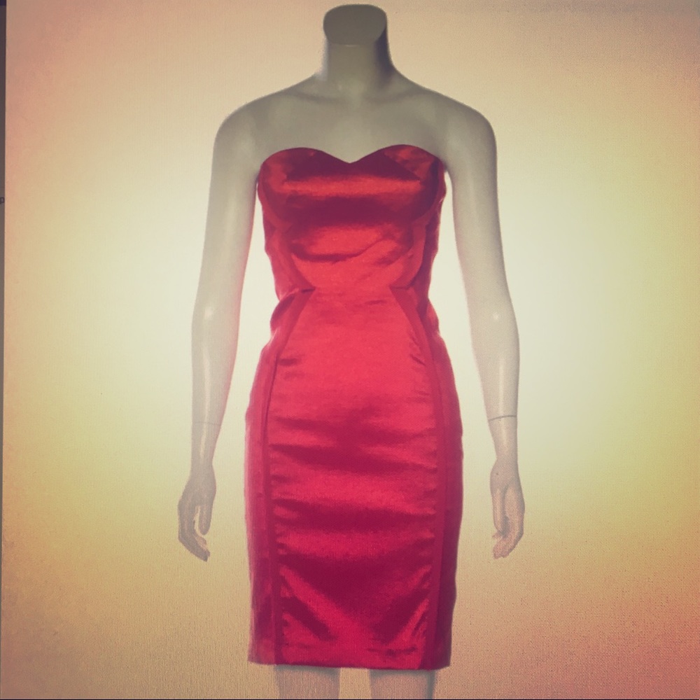 Stunning ZSpoke by Zac Posen sweetheart dress - Picture 1 of 5