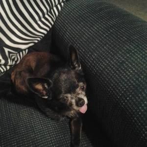 Meet your Posher, Cindy