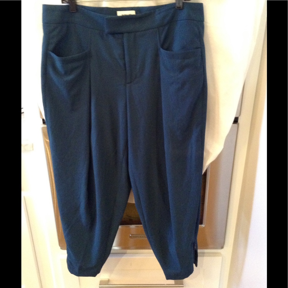 Blue Helmut Lang pants