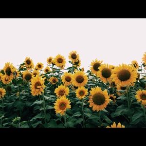 Meet your Posher, Jayden